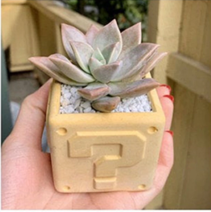 Little plumber planters